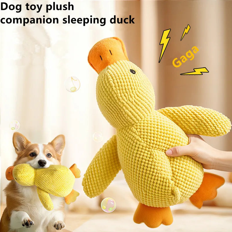アヒル鳴き笛ぬいぐるみ、犬用